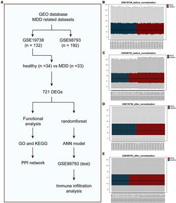 A machine learning model for predicting patients with major depressive disorder: A study based on transcriptomic data